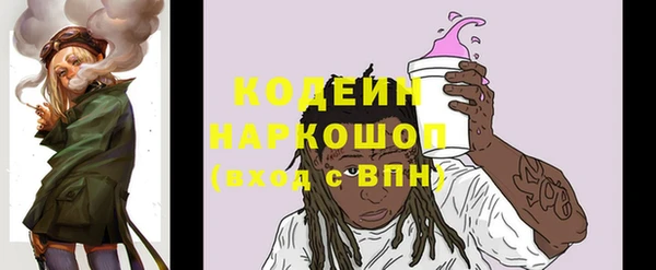 тгк Елизово