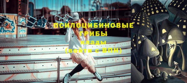 прущая мука Богородицк