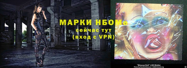 прущие грибы Ельня