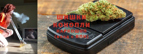 СК Богородск