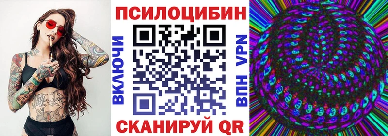 Галлюциногенные грибы Psilocybe  Губаха 